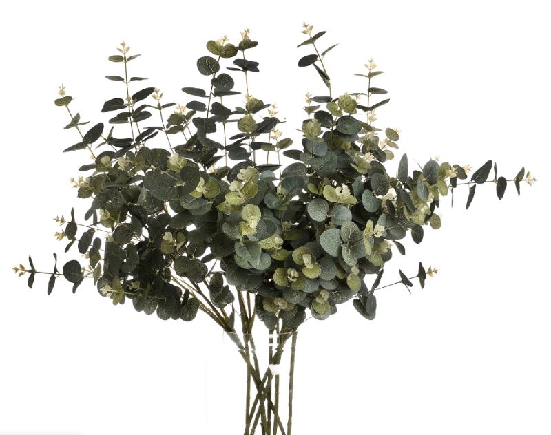 Eucalyptus Spray