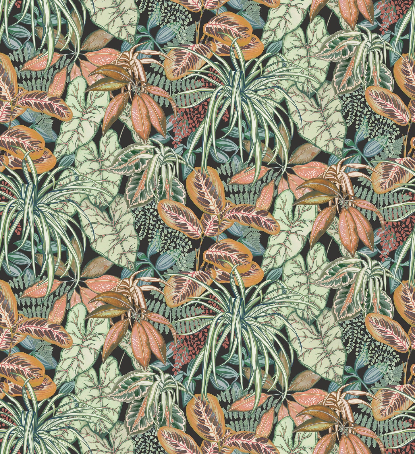 Hothouse