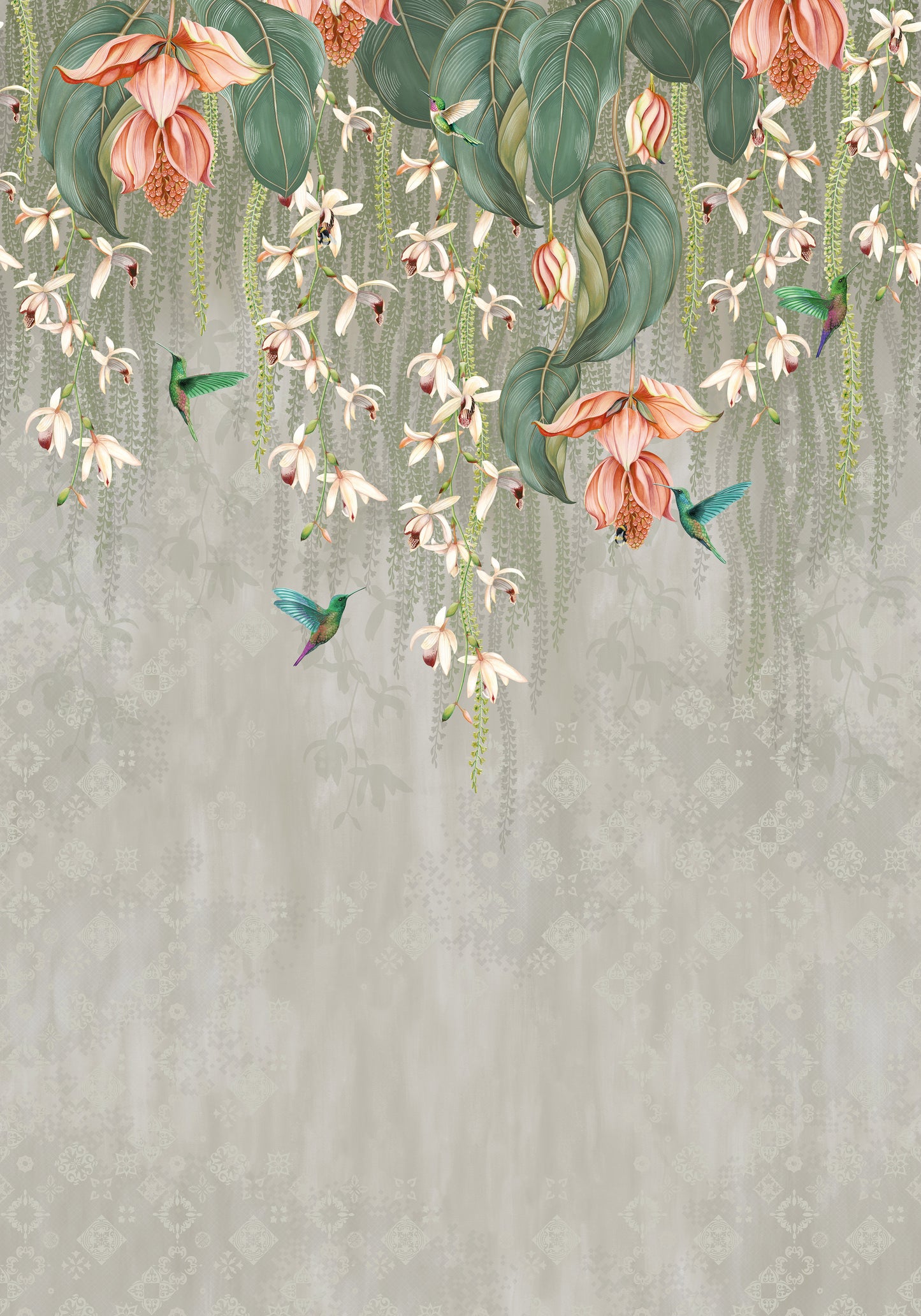 Trailing Orchid