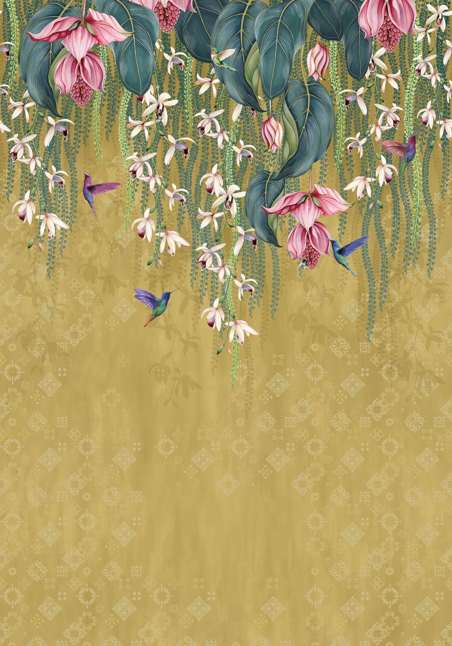 Trailing Orchid