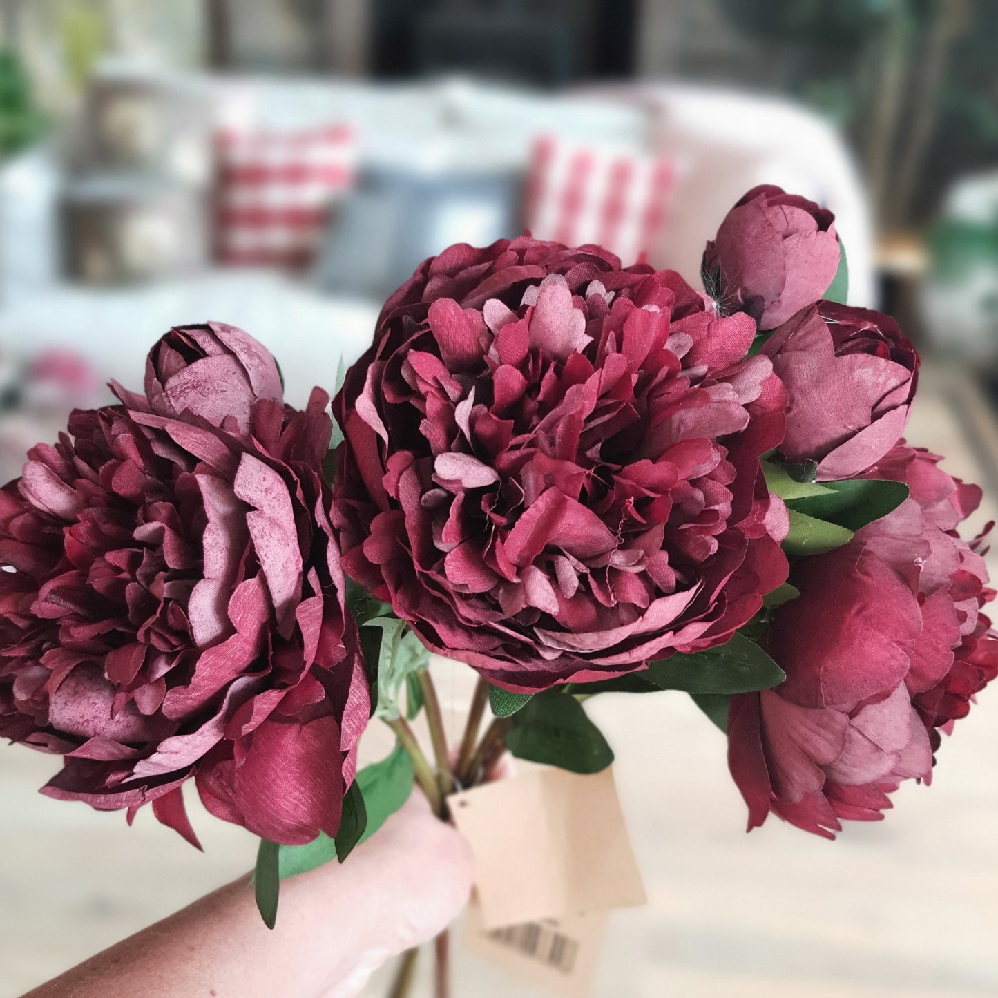 Peony Stems Stems