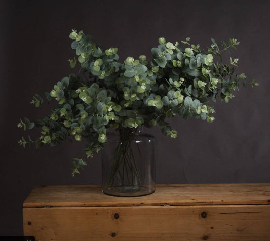Eucalyptus Spray