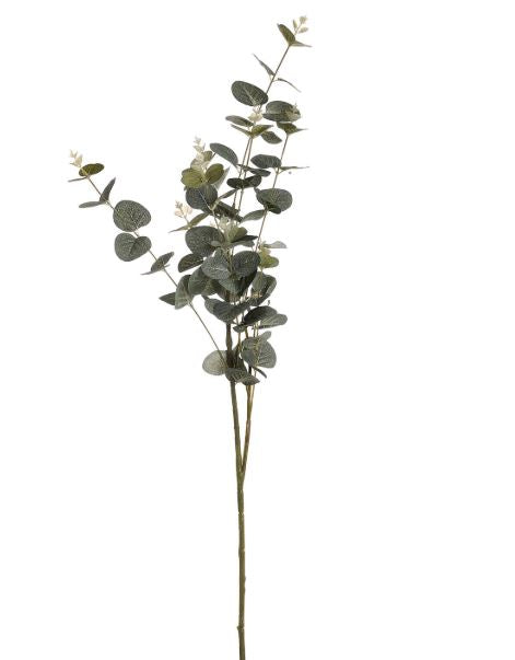 Eucalyptus Spray