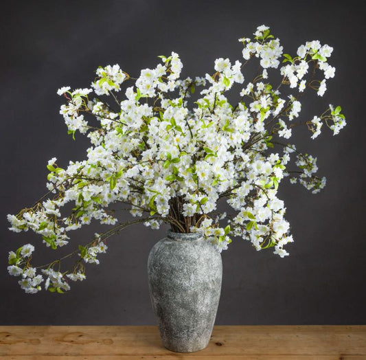 White Blossom Branches