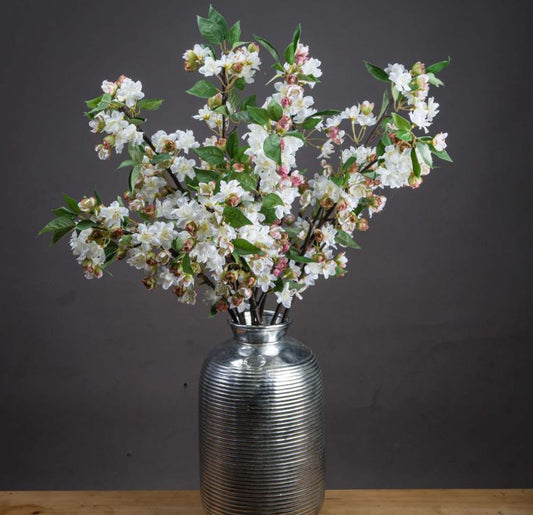 English Blossom Branches