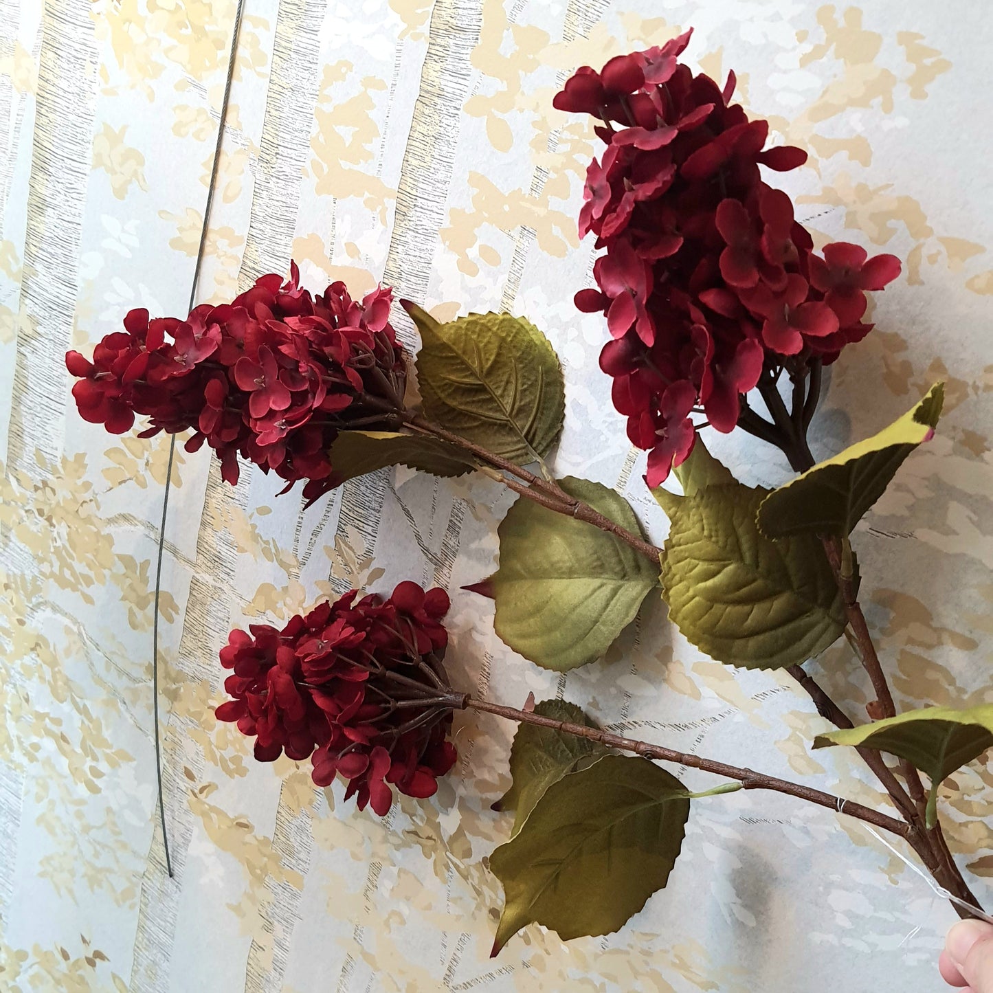 Hydrangea 3 flower heads