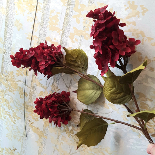 Hydrangea 3 flower heads