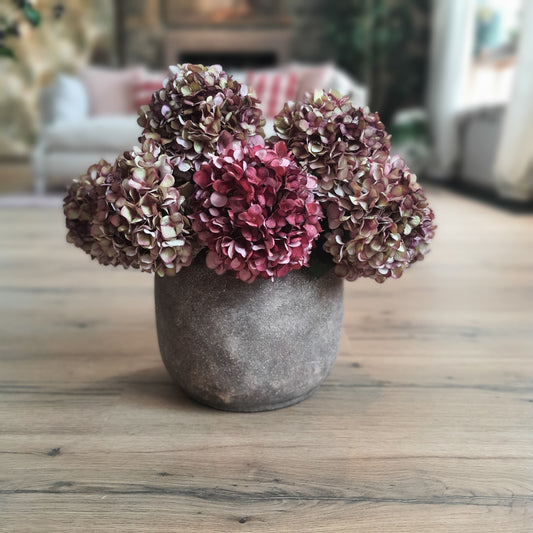 Hydrangea Stems