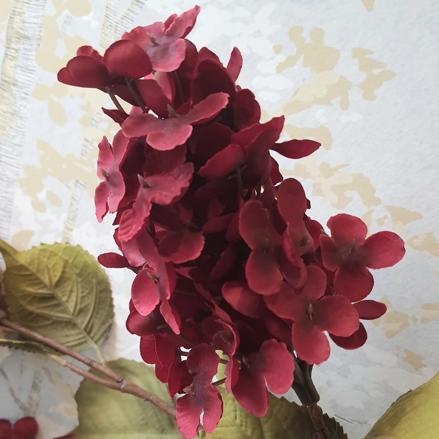 Hydrangea 3 flower heads